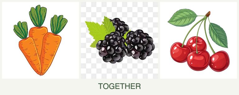 Can you plant carrots, blackberries and cherries together?