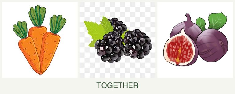 Can you plant carrots, blackberries and figs together?