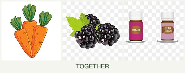Can you plant carrots, blackberries and geraniums together?