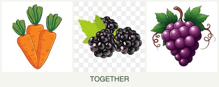 Can you plant carrots, blackberries and grapes together?