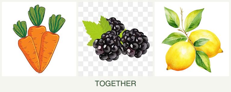 Can you plant carrots, blackberries and lemons together?