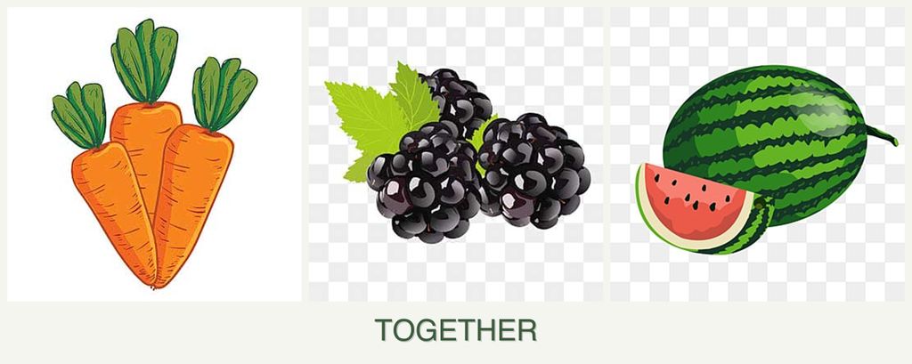 Can you plant carrots, blackberries and melons together?
