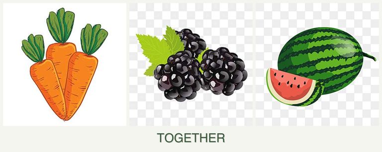 Can you plant carrots, blackberries and melons together?