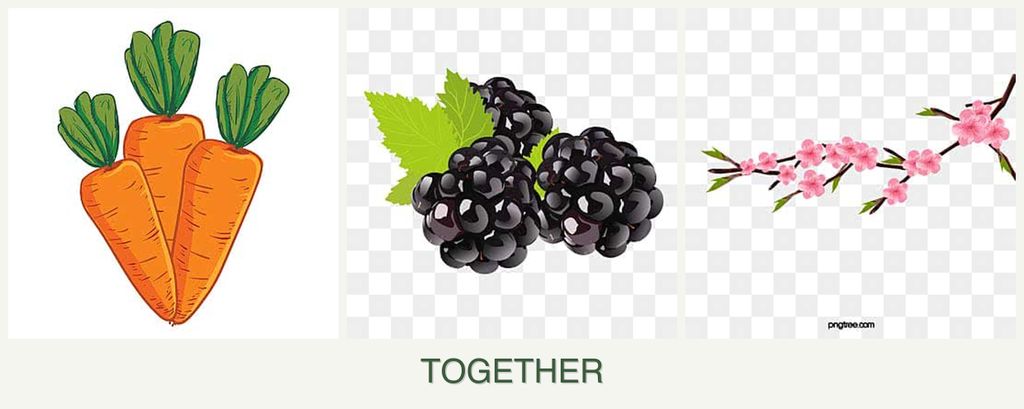 Can you plant carrots, blackberries and peaches together?