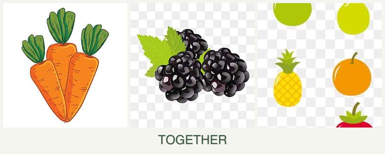 Can you plant carrots, blackberries and pears together?