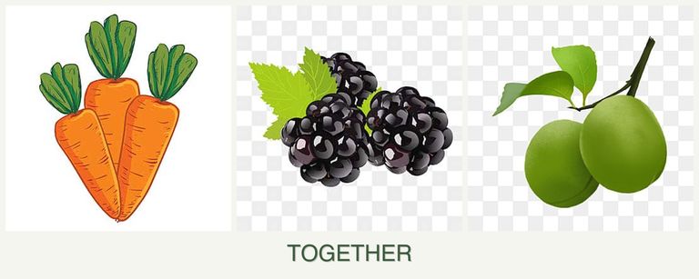 Can you plant carrots, blackberries and plums together?