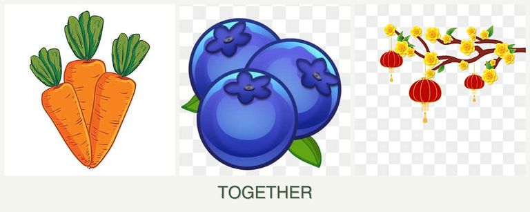 Can you plant carrots, blueberries and apricots together?