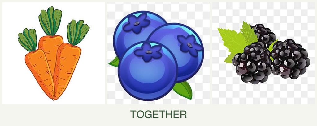 Can you plant carrots, blueberries and blackberries together?