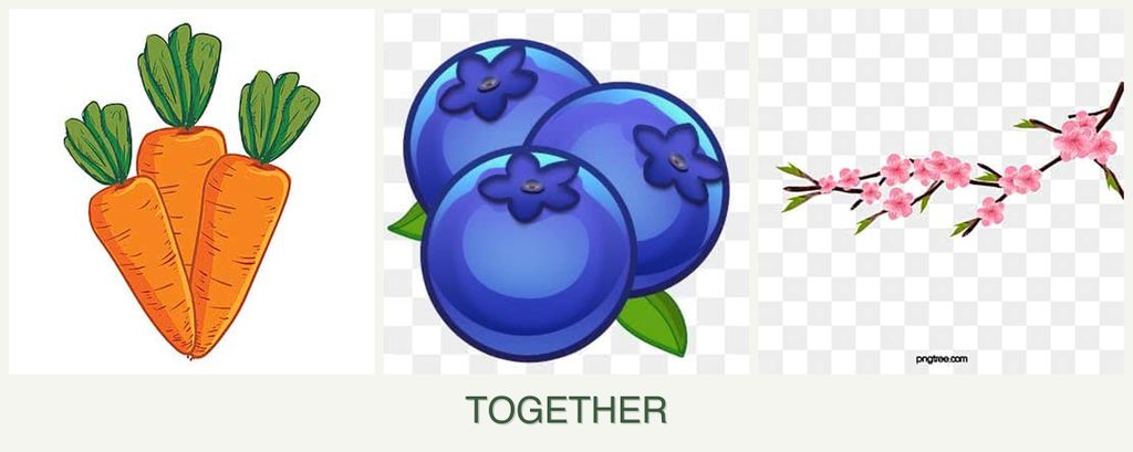 Can you plant carrots, blueberries and peaches together?