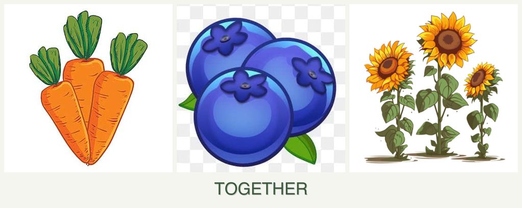 Can you plant carrots, blueberries and sunflowers together?