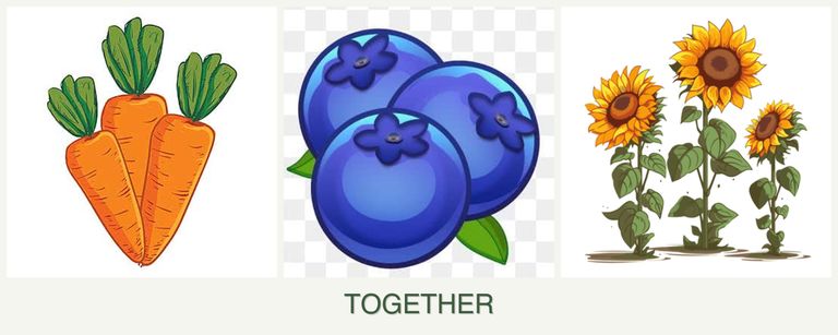 Can you plant carrots, blueberries and sunflowers together?