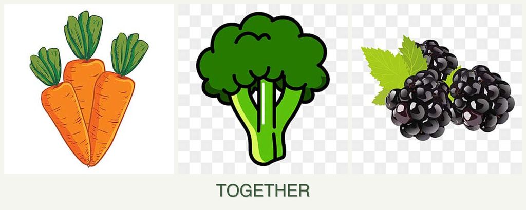 Can you plant carrots, broccoli and blackberries together?