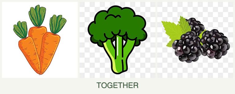Can you plant carrots, broccoli and blackberries together?