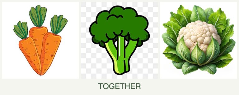 Can you plant carrots, broccoli and cauliflower together?