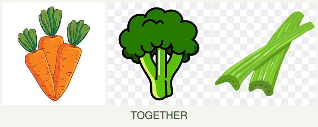 Can you plant carrots, broccoli and celery together?