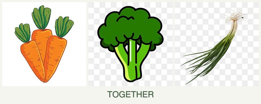 Can you plant carrots, broccoli and chives together?