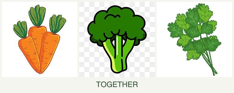 Can you plant carrots, broccoli and cilantro together?