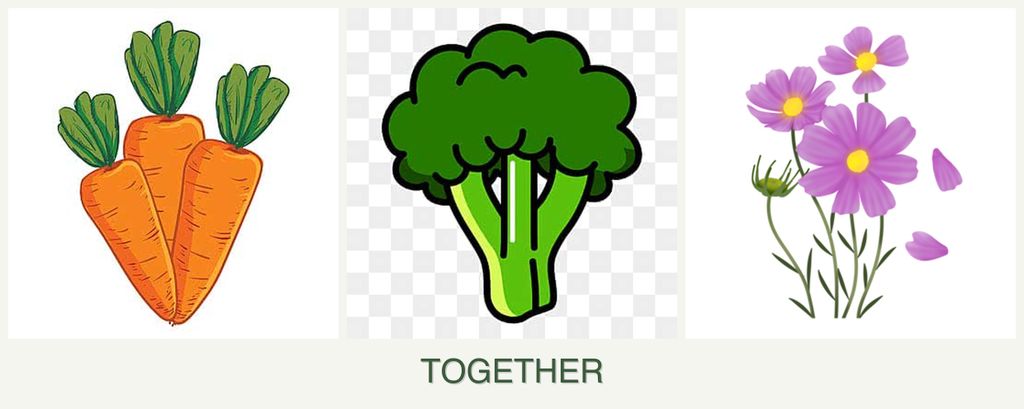 Can you plant carrots, broccoli and cosmos together?