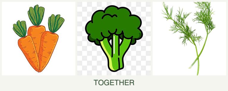 Can you plant carrots, broccoli and dill together?