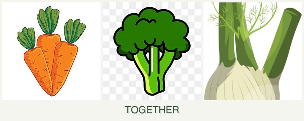 Can you plant carrots, broccoli and fennel together?