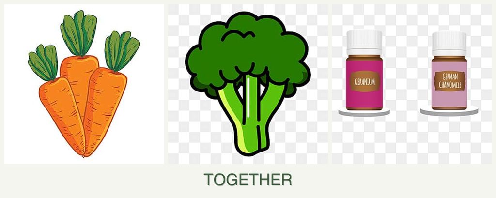 Can you plant carrots, broccoli and geraniums together?