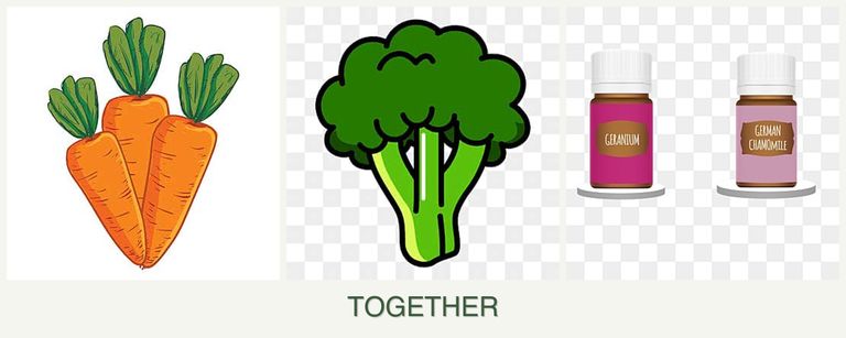 Can you plant carrots, broccoli and geraniums together?