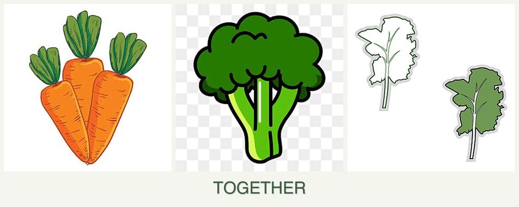 Can you plant carrots, broccoli and kale together?