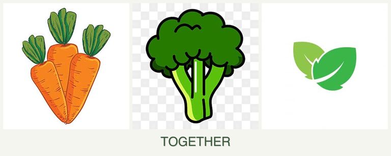 Can you plant carrots, broccoli and mint together?