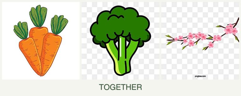 Can you plant carrots, broccoli and peaches together?
