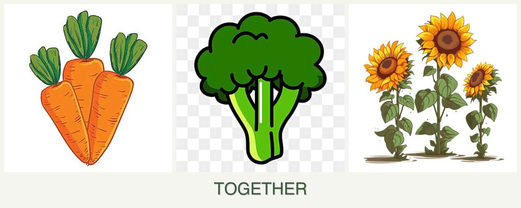Can you plant carrots, broccoli and sunflowers together?