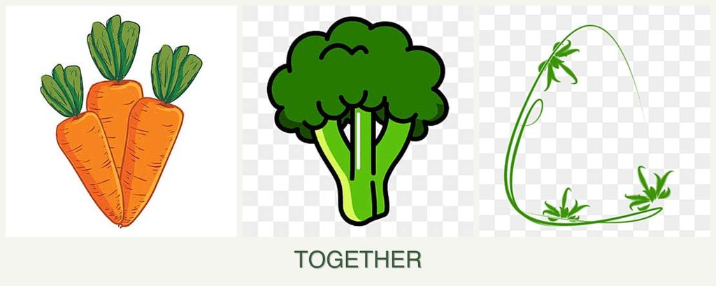 Can you plant carrots, broccoli and tarragon together?