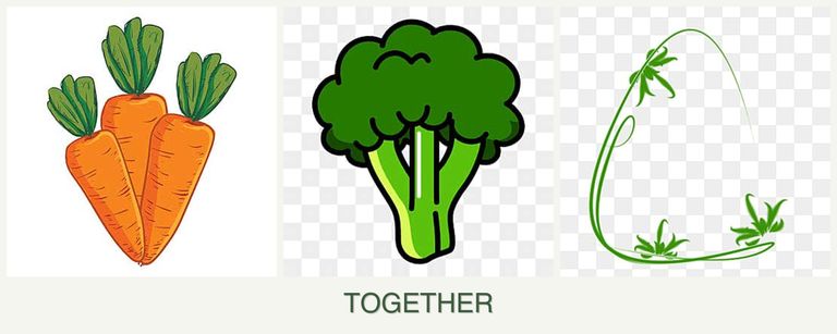 Can you plant carrots, broccoli and tarragon together?