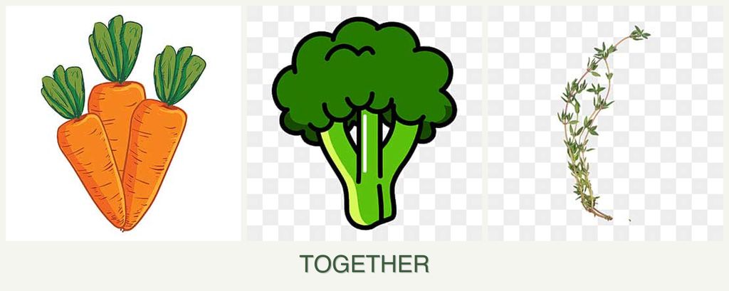 Can you plant carrots, broccoli and thyme together?
