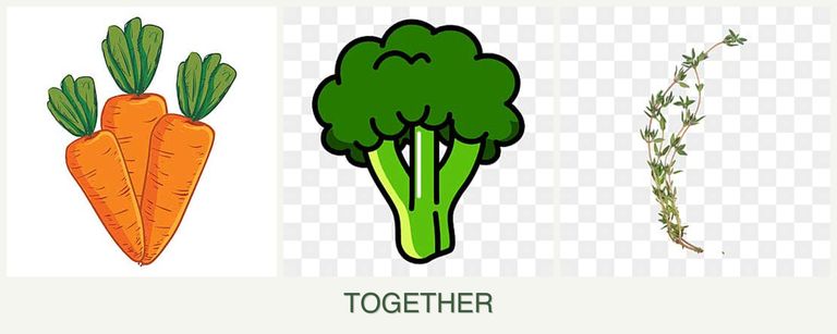 Can you plant carrots, broccoli and thyme together?