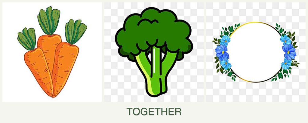 Can you plant carrots, broccoli and zinnias together?