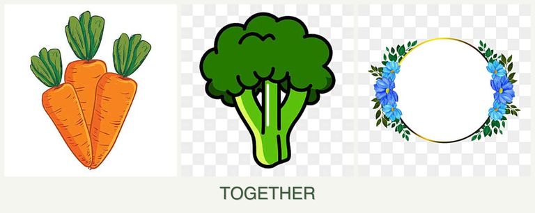Can you plant carrots, broccoli and zinnias together?