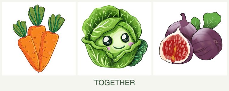 Can you plant carrots, cabbage and figs together?