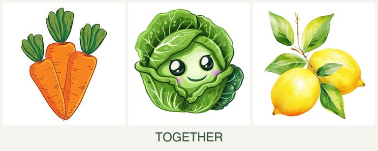 Can you plant carrots, cabbage and lemons together?