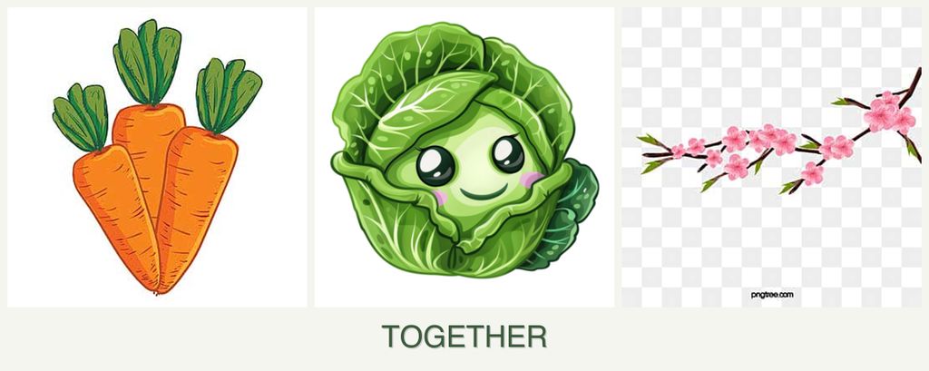 Can you plant carrots, cabbage and peaches together?