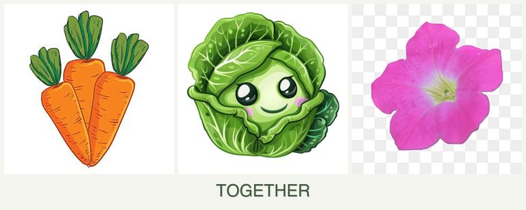 Can you plant carrots, cabbage and petunias together?