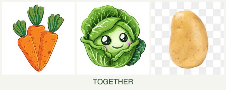 Can you plant carrots, cabbage and potatoes together?