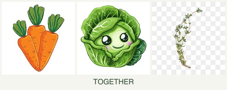 Can you plant carrots, cabbage and thyme together?