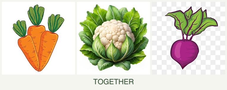 Can you plant carrots, cauliflower and beets together?