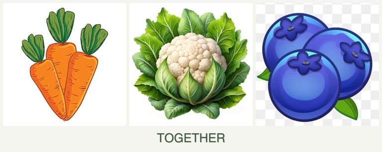 Can you plant carrots, cauliflower and blueberries together?