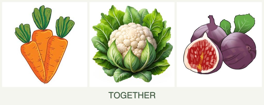 Can you plant carrots, cauliflower and figs together?