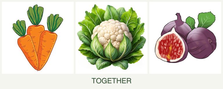 Can you plant carrots, cauliflower and figs together?