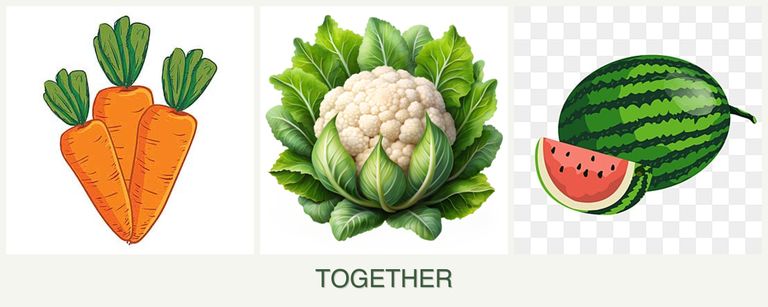 Can you plant carrots, cauliflower and melons together?