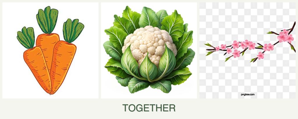 Can you plant carrots, cauliflower and peaches together?