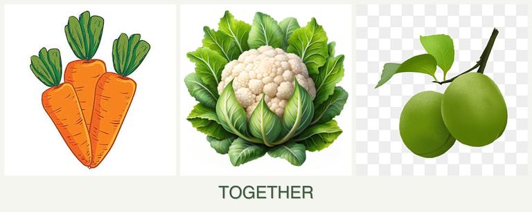 Can you plant carrots, cauliflower and plums together?