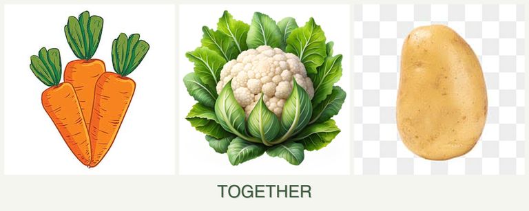 Can you plant carrots, cauliflower and potatoes together?